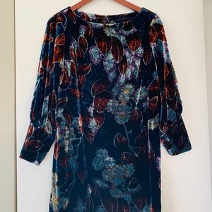 Floral velvet shift dress Ann Taylor 6p